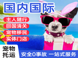 扬州国际宠物托运 【国